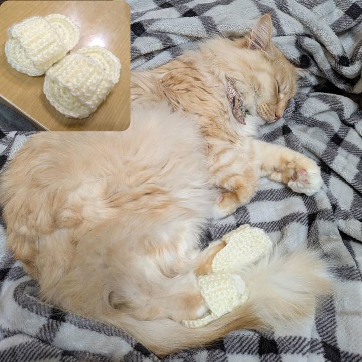 87b576d4 315a 4a01 850b bf4572859d2a 1769260965260