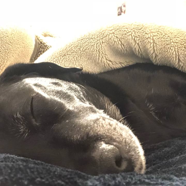 87b57e0e fcf1 4e1b af4d 25f451ad8ed4 1548598665125