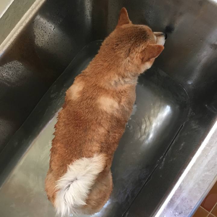 87b59b53 dd09 4802 99ed 78e2a2f921f4 1568249780733