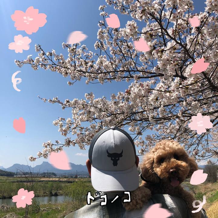 87b5a8e3 5d28 4bfc 80a0 787252960692 1744428067281