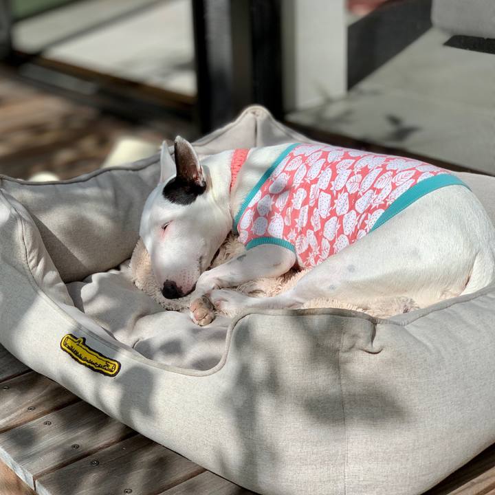 87b5eb2e b7c8 4e43 902a 831e8879c7a9 1602912145875