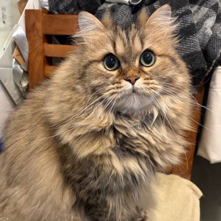 87b5f845 f1cb 4523 8ea5 57206f2cbb54 1769863443877