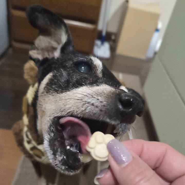 87b61de6 e637 4c90 8ab6 749a52ae74a4 1768247717771