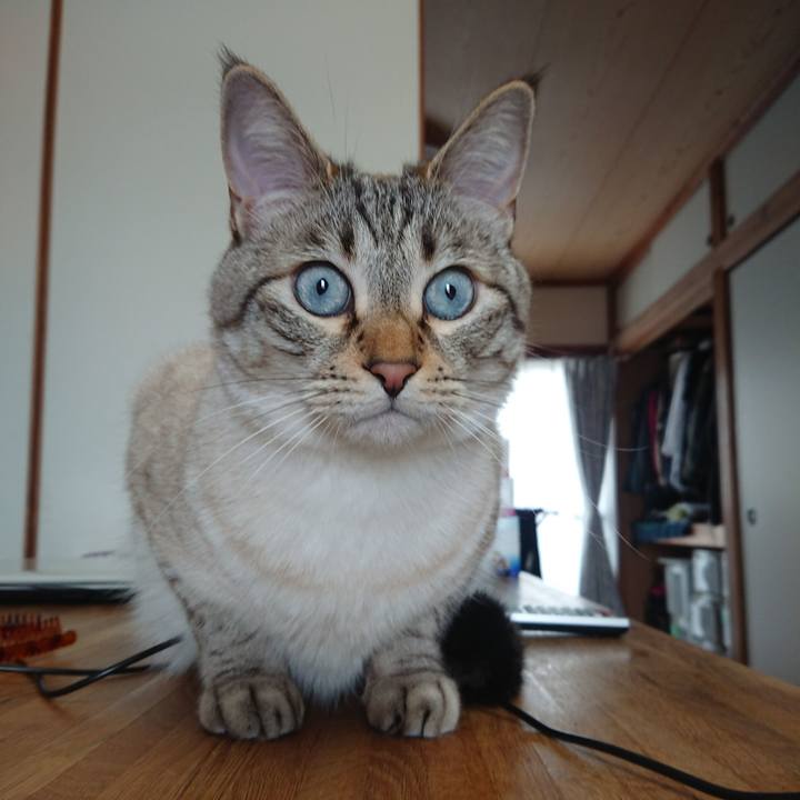 87b62550 d821 4bd7 80d2 51aed1b985da 1557722052055