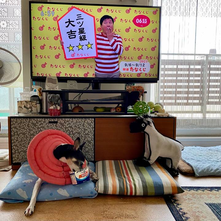 87b630e9 965e 4741 a602 2d7ec02b30db 1630879536424