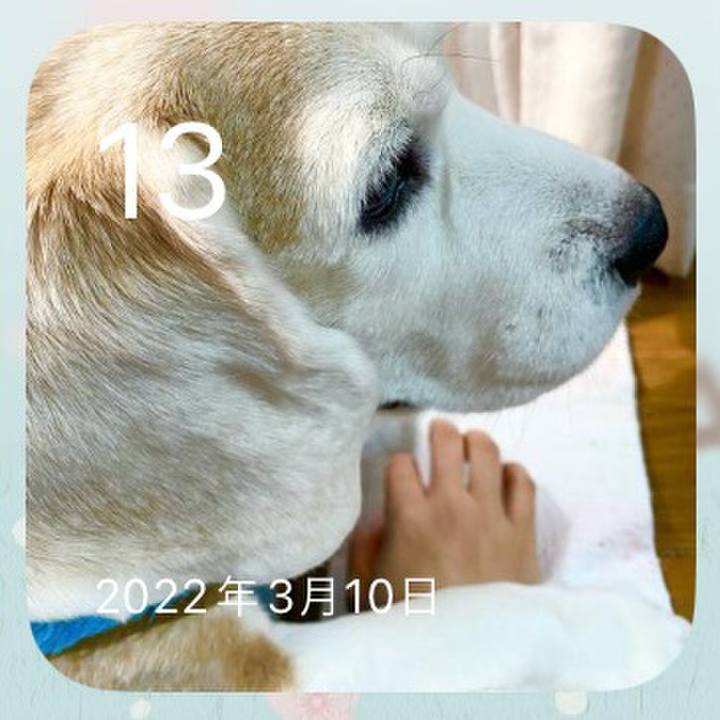 87b6560e 6fdb 467a b5c7 efd331a831c2 1710288329179