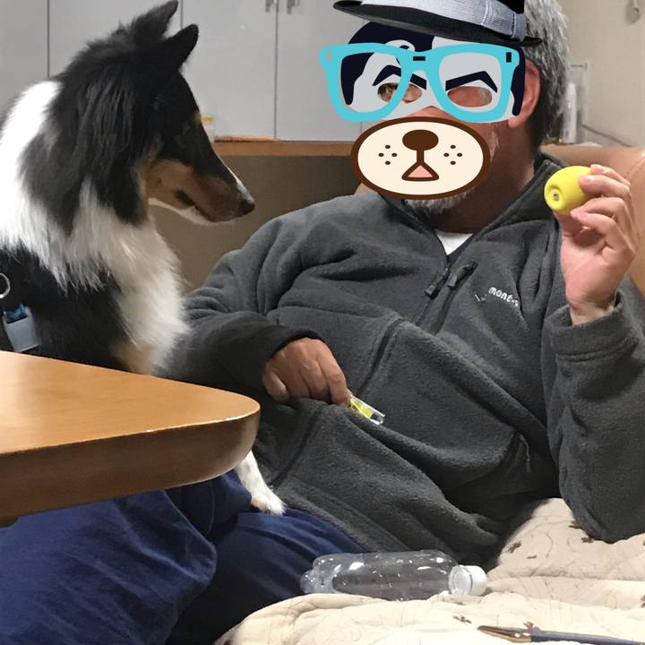 87b6764f 9dd6 445c 98f4 7b623178d48e 1542319047333