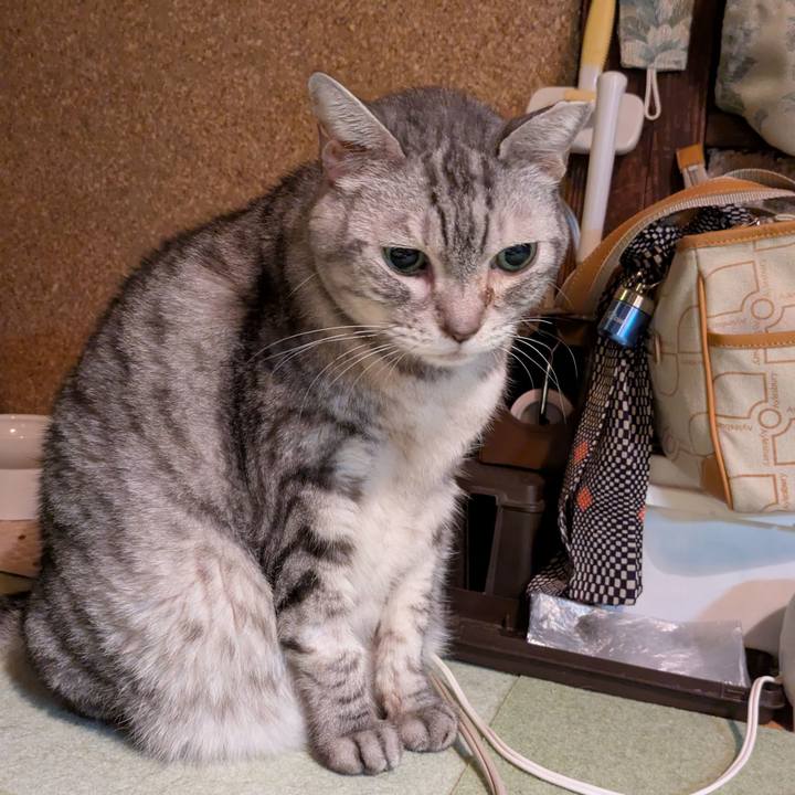 87b6ac69 9dd3 48f8 b4e2 a284d6f8c908 1765646289934