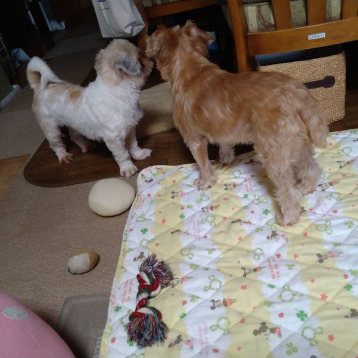 87b6b785 cd66 4035 bd04 04a2f8e6b5ca 1599274776812