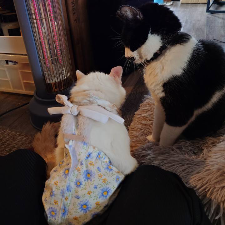 87b6e881 b52b 49fb 92f2 53eb91f55905 1763025155194