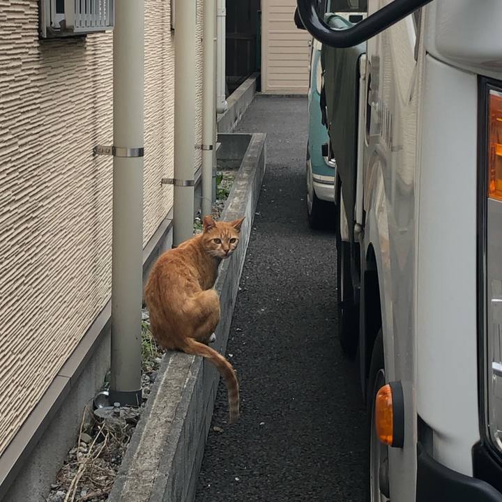 87b70498 cd2a 4c37 a4c8 8b087bca6120 1562347465637