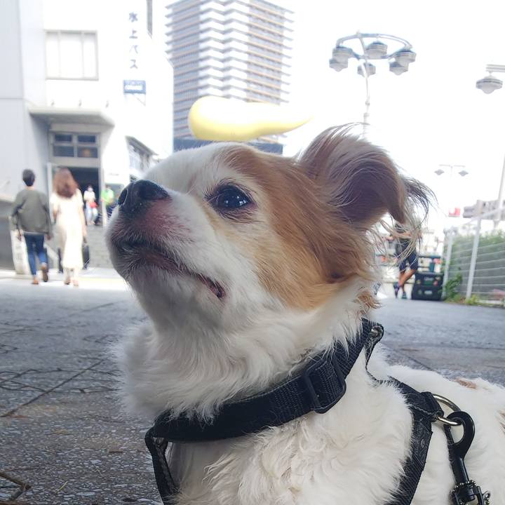 87b7064c 7b91 410b 86fc 9fdab4240273 1593236475152