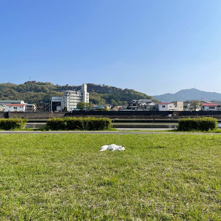 87b73d4f 3460 4f99 83d8 370a33b6c4e3 1649486802077