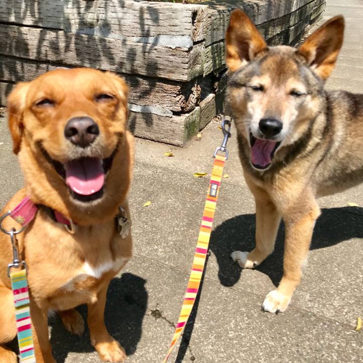 87b745e6 f29f 4c3b b748 009bc1d0846f 1529453278945