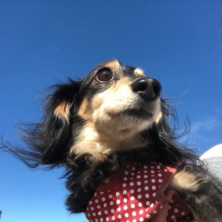 87b76479 0b26 49ac 8d3a b4ca554fec1c 1556322012020