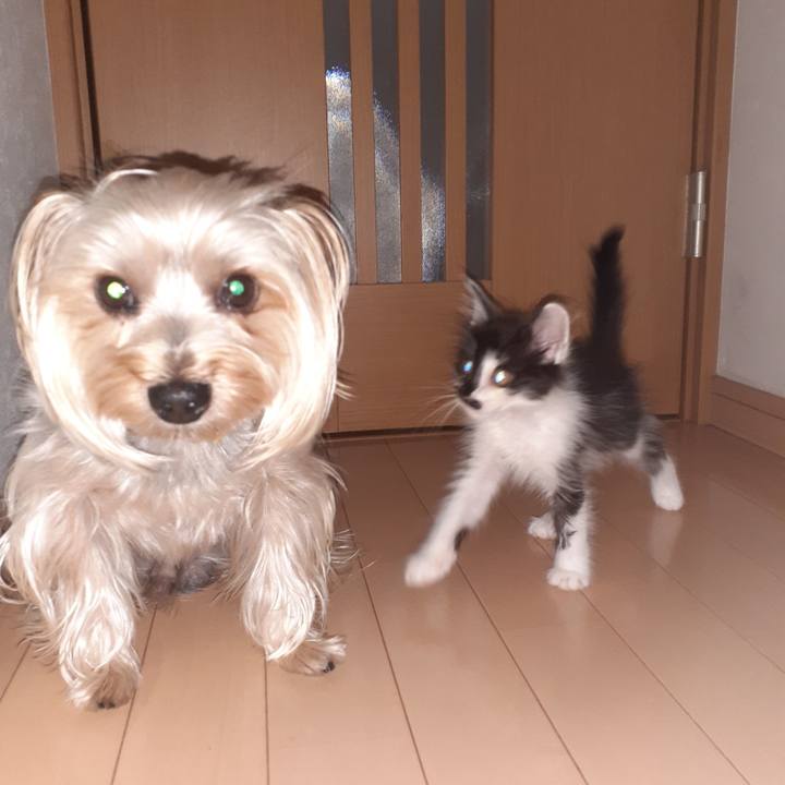 87b7783b 5c08 42da 9c8a 53e2097b370e 1693222105593