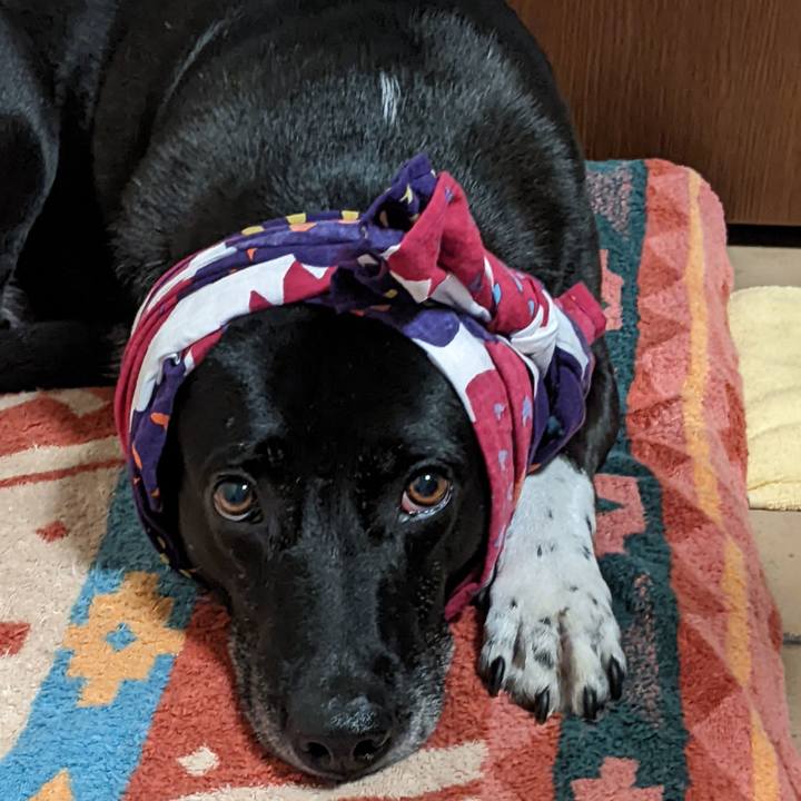 87b79f42 be54 4cff a844 c2fd8a348d9f 1655012263560