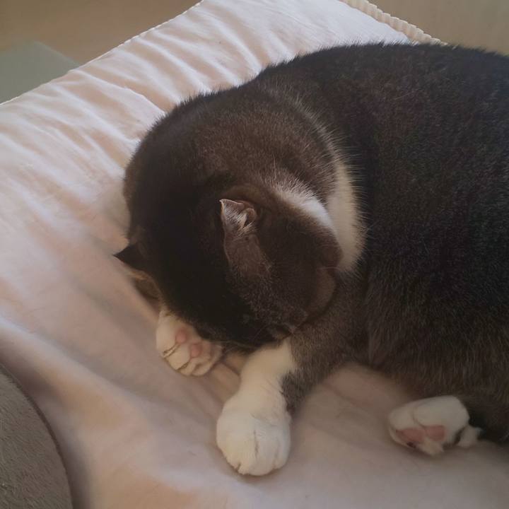 87b7a35e ce04 4583 9d44 5dc721b526a0 1668388495983