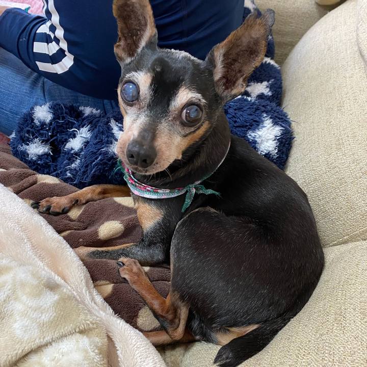 87b7a3f2 a54b 4921 ab48 ed9b4bb44f5f 1583035781189