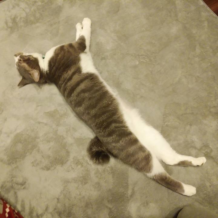 87b7ad29 d398 419f 8848 694d76f81eda 1588330292185