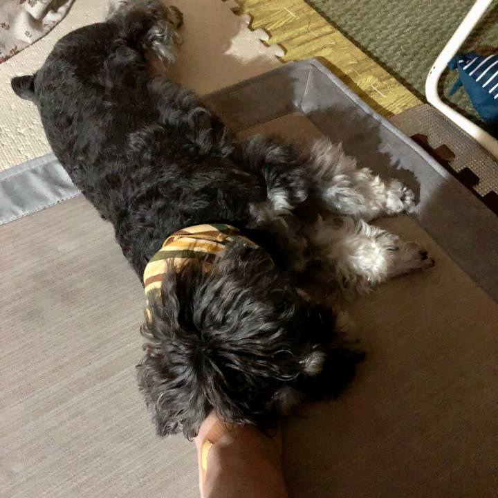 87b7b43d 2bd6 4995 90a0 12880c7603fd 1627388550453