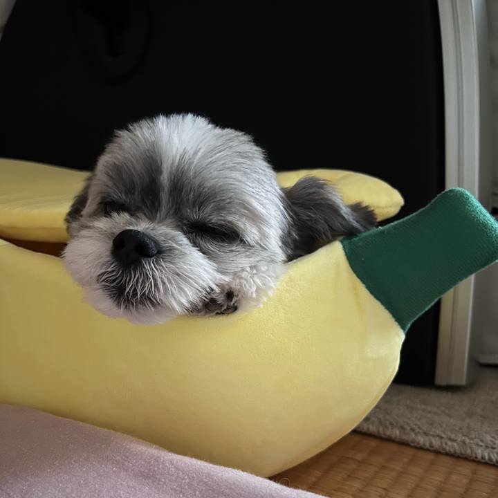 87b7e120 e566 4397 87b3 0a766964c0a3 1660425202312