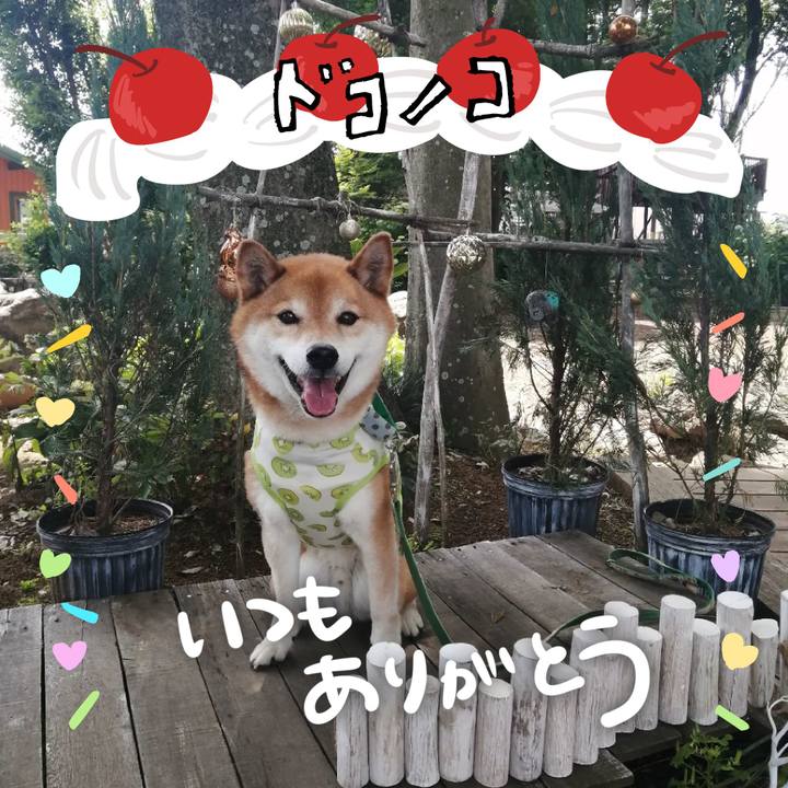 87b8487b 01f6 4018 b283 add516431de7 1685969806943