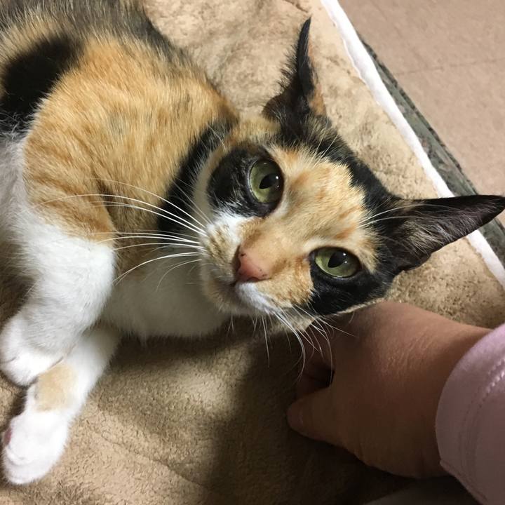 87b88333 8856 4a95 aa3f 1f05b6ffbeb7 1519307784454