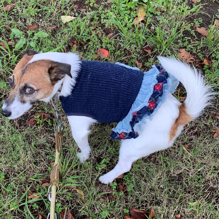 87b8b301 1dd9 46aa 8b51 4c49b1913ee8 1573259787944