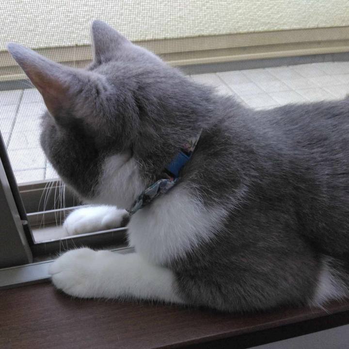 87b8cf6f f664 499b a7c3 15b6edbea218 1690795832539