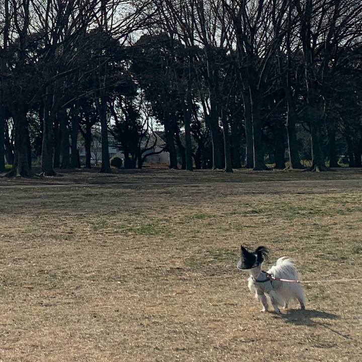 87b8d32a 2829 429b adae ce6f1b47b013 1546939311622