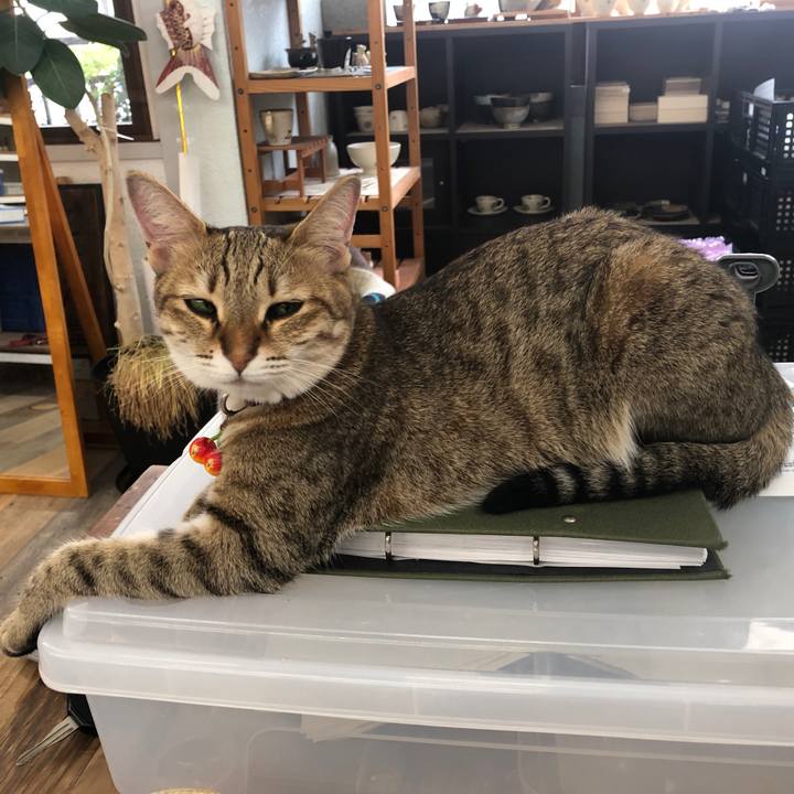 87b8df12 22ba 4903 816d 4fc158a61482 1629107196150