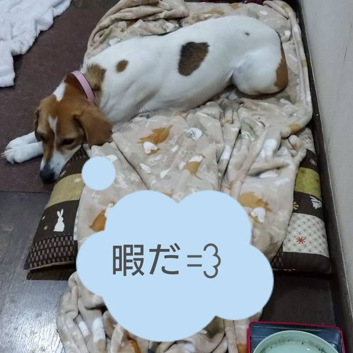 87b8ee85 b436 4f5d ae4b 2ea2134420af 1582978881105