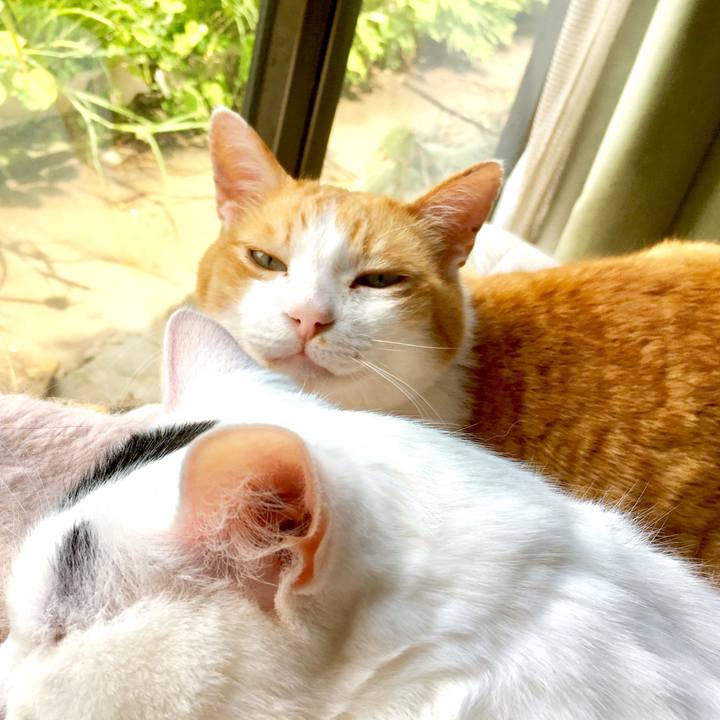 87b9728f b09c 42c1 a320 a3d40b623a78 1561258176274