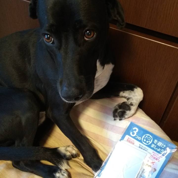 87b97ade b2ef 4d4a a210 52613152122e 1589185730677