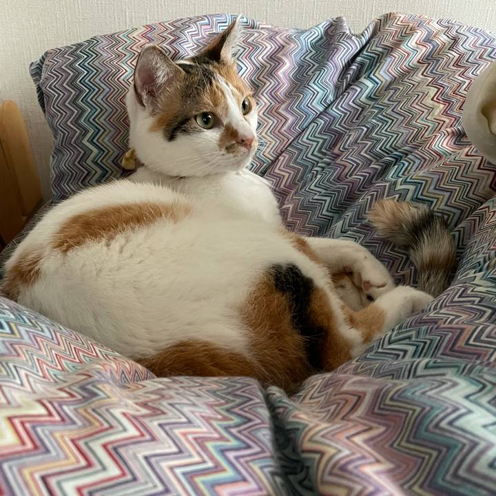 87b98188 6c17 4027 9315 6b6ac38851cc 1630222926879