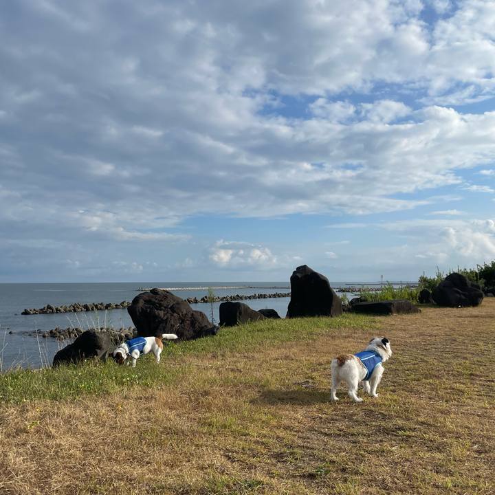 87b9ae69 2e18 40d7 95c1 efd7b600f993 1694300974999