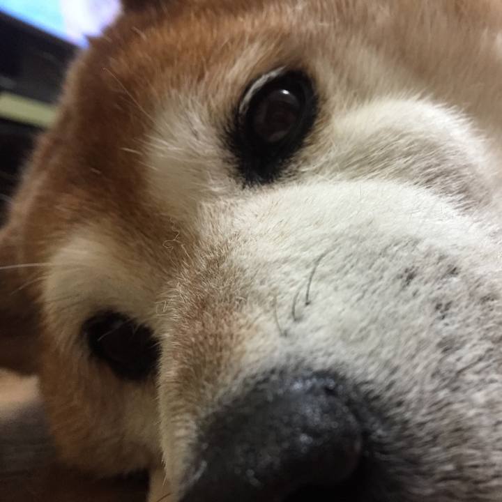 87b9beaf a38e 4ed1 bd1c 56672a530bbf 1527084911070