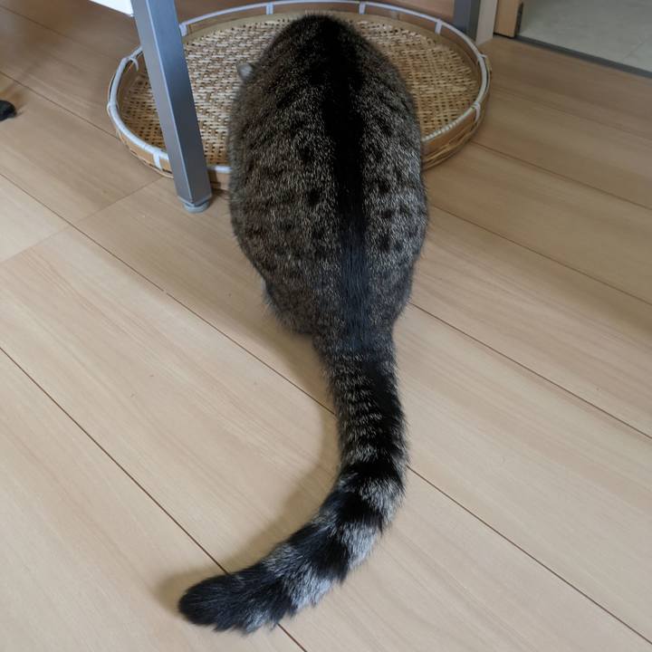 87b9d169 8f49 4e1d a20b 49709e7530cf 1694848474387