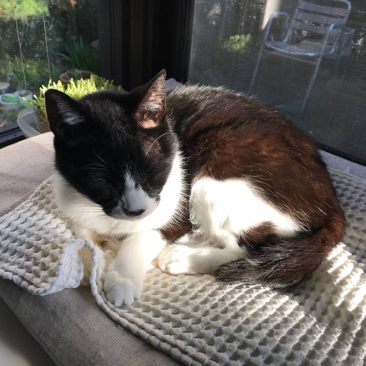 87ba0368 4ed5 49f4 92fa 5d63186f5469 1520843215016