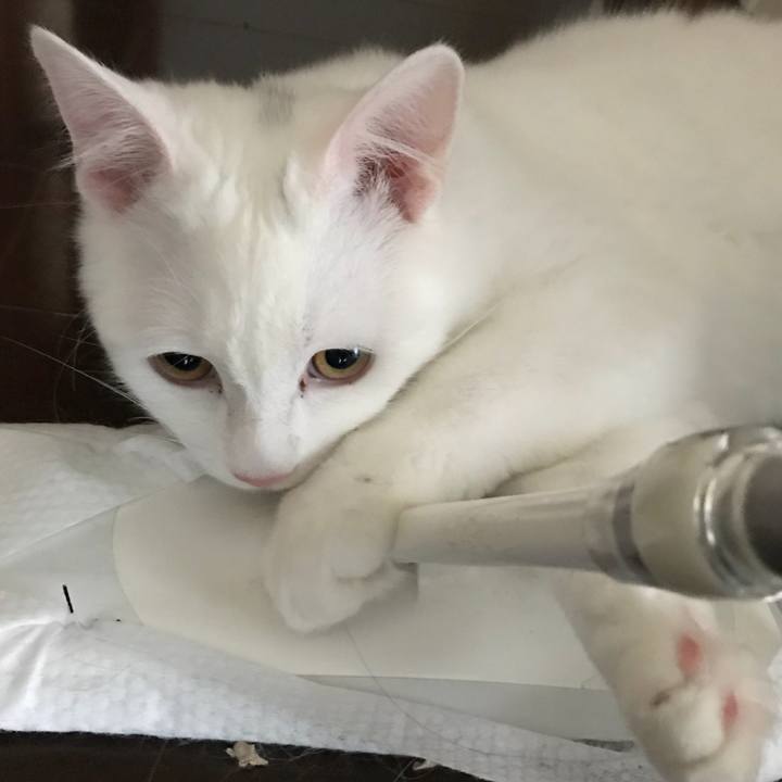 87ba1b8f 15ef 413b bd6c 465f5854bd84 1518754317306