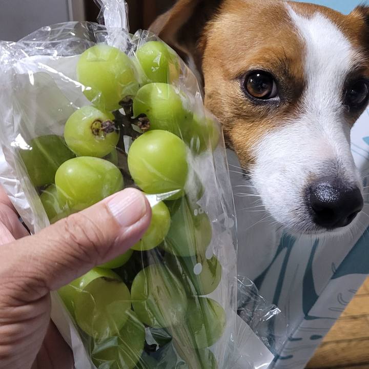 87ba20fa 8554 4a05 af93 983a9a3a4526 1694043244111