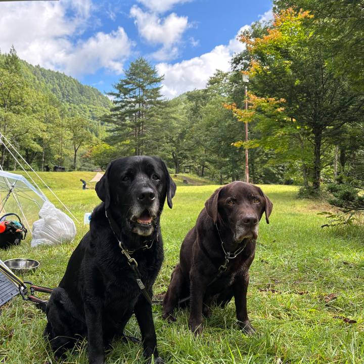 87ba39eb d200 4e8a 9d07 7cb7aa00f264 1758027181759