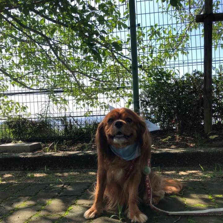 87ba5c35 5051 4d9f 85d8 0406154f2aa1 1596240441598