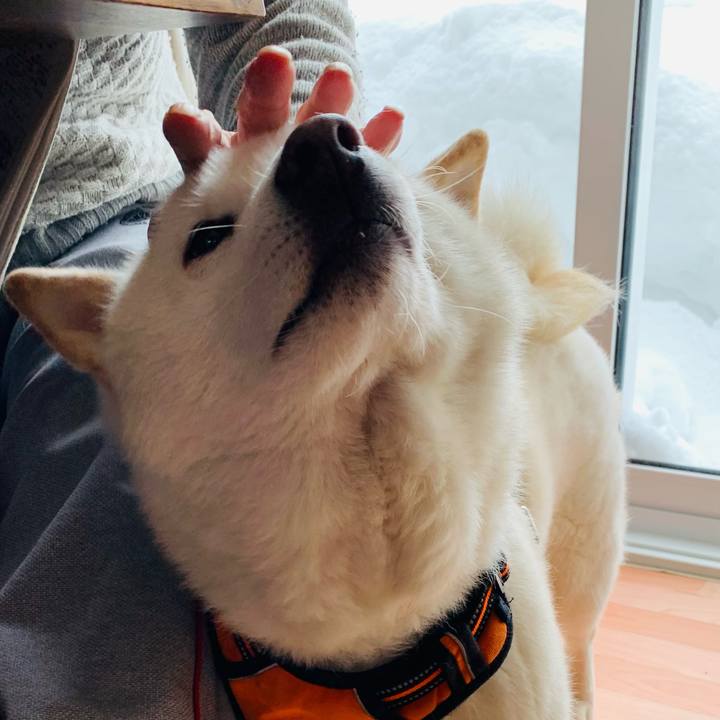 87ba67ee 92a8 4b91 8e5f 69e9bd532022 1675839486983