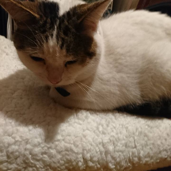 87ba8c31 bd0e 4ffb 9b06 d0da6be63303 1570964468720