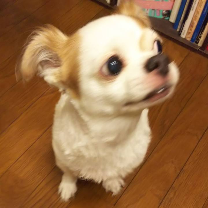 87ba987b 8d10 4175 a4da 398ad1be6164 1568899929312