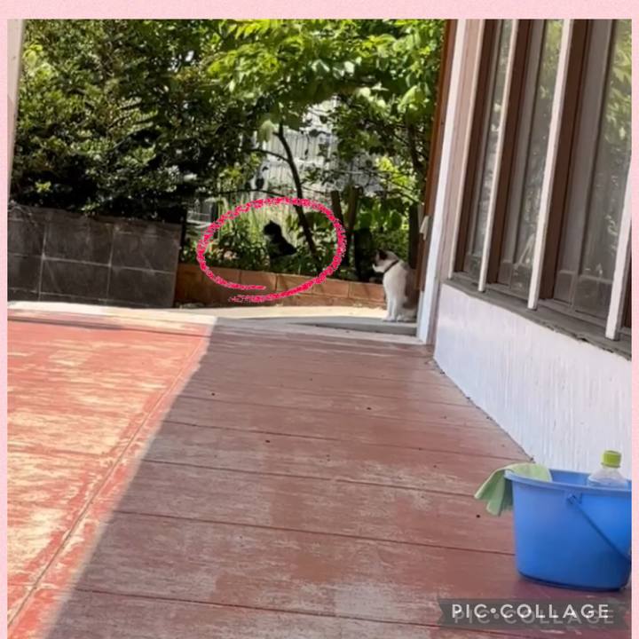 87baf2d5 51f3 4fb5 a27b cd51a6da26e6 1745893396488