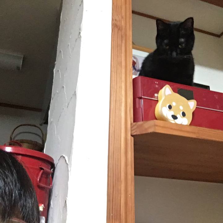 87bb05ab a8b0 4402 8dfe 0510a7e3a2b0 1517497266984