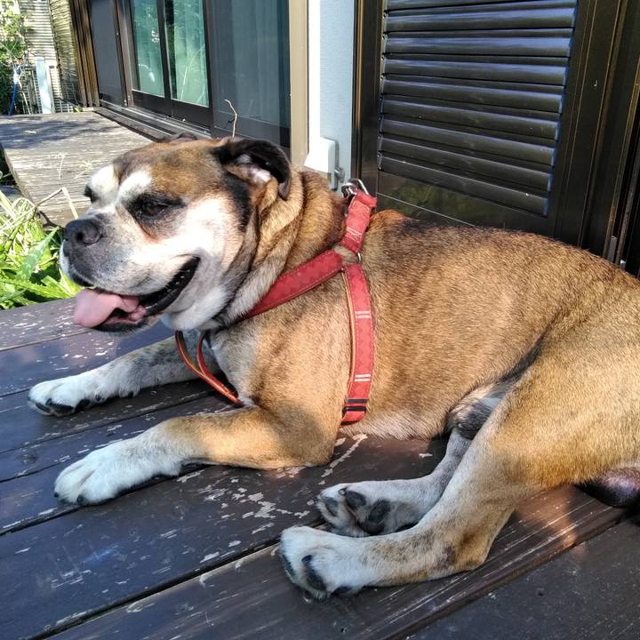 87bb0fa7 6523 48d5 87ee 34b82a192dfd 1564981865440